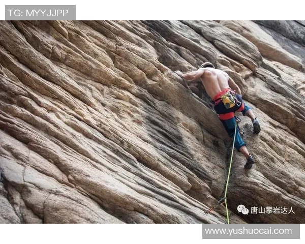 广州攀岩队的比赛经验揭秘与攀岩技巧分享之旅